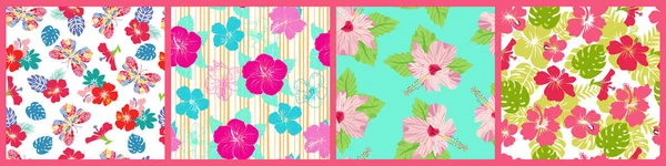 Vector Hermoso Conjunto Patrones Sin Costura Con Hibisco Exótico Fondo — Vector de stock