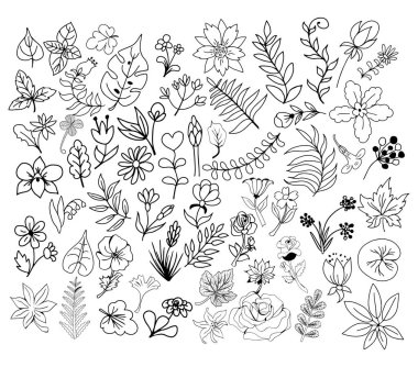 Vektör El çiçekler, dallar ve yapraklar çizdi. Tasarım için büyük bir klasik botanik dekoratif çiçek elementleri seti.