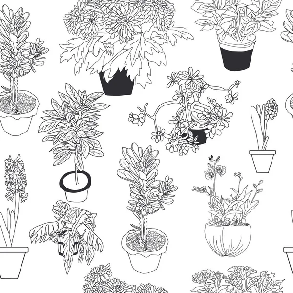 白底素描风格的不同室内植物手绘无缝图案 — 图库矢量图片