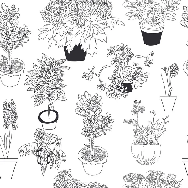 Modèle Sans Couture Dessiné Main Différentes Plantes Maison Sur Fond — Image vectorielle