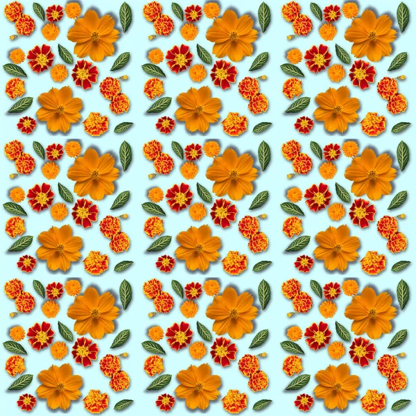 Yellow Flowers Pattern Blue Background Cosmos Marigold Calendula Flowers Composition — Stock Photo, Image