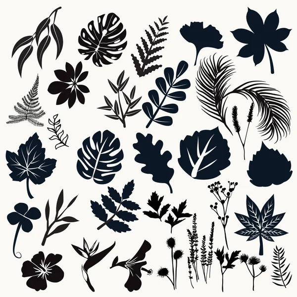 Vektorová Sbírka Siluety Listí Květin Sada Botanických Symbolů Černé Barvy — Stockový vektor