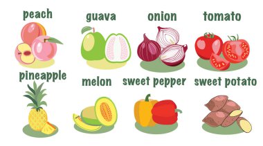 Sebze ve meyve ikonu. Sebze ve çiftlikten meyveler. Organik ekolojik gıda çizimi.  