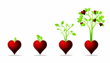 Bir ağaç gibi büyüyen aşk.