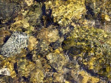 Suyun altında taş güzel doku. Islör taşın doğal arka planı