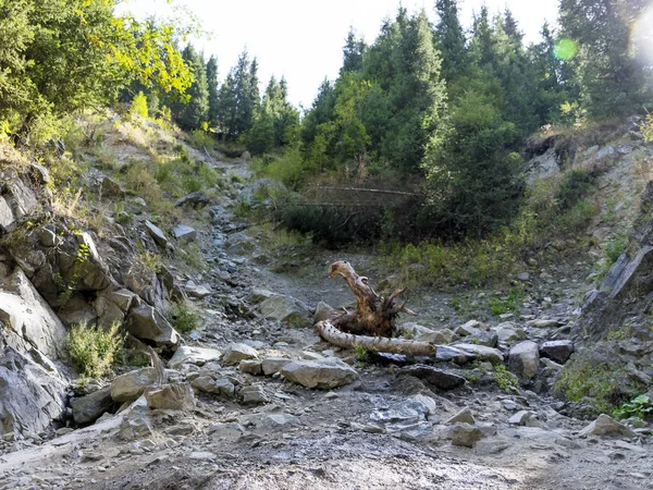 Потік з чистою прозорою водою в горах. Джерело води. Мінеральна вода — стокове фото