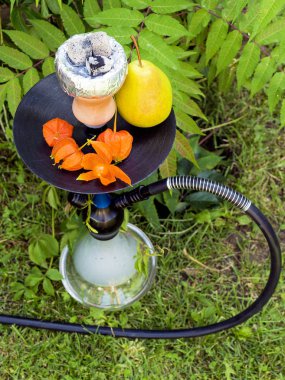 Nargile ve meyveler doğada. Nargile ağacın altında. Nargileden duman. Meyve aroması. Nargile için kömürler. Dinlenme ve dinlenme