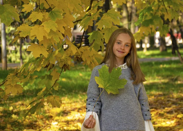 Piękna młoda dziewczyna spaceruje po parku jesienią. Jesienny żółty klon liście na drzewo. Piękne blond włosy, oczy i ładna twarz dziewczyny. Modna kobieta.. — Zdjęcie stockowe