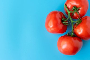 Kırmızı domatesler mavi arka planda bir dal üzerinde. Bahçeden sebzeler. Vejetaryen yemeği..