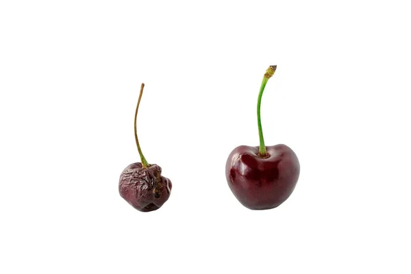 Cerises Âges Différents Sur Fond Blanc Vieillissement Concept Jeunesse Soins — Photo