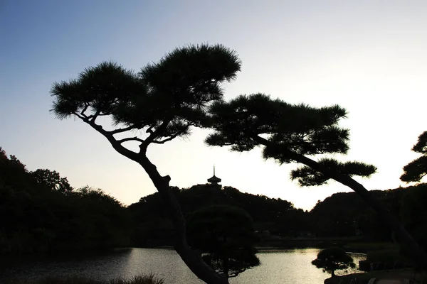 The silhouette in Sankeien Gardens in Yokohama, Japan