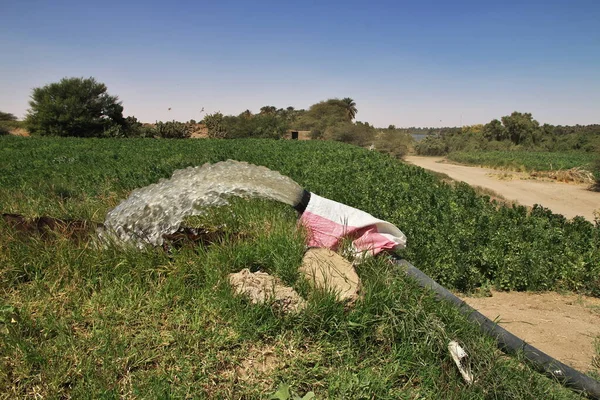 Nile river / Sudan - 23 Feb 2017: Fields in the small village on Nile river, Sudan