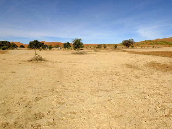 The dry lake in dunes, Namib desert, Sossusvlei, Namibia