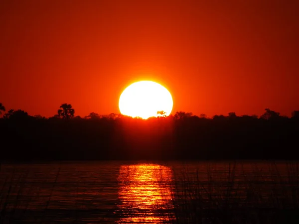 The sunset at the cruise on Zambezi river, Zimbabwe