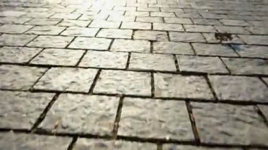 Kaldırım taş. Güzel bahçe geçit