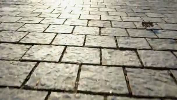 Pavement made of stone. Beautiful garden walkway — Stock Footage Pavement made of stone. Beautiful garden walkway Stock Footage