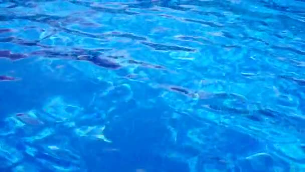 Kék felszíni víz a medencében — Stock videók