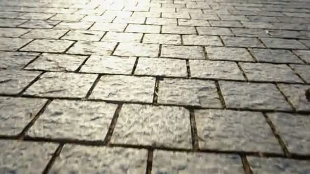Pavement made of stone. Beautiful garden walkway — Stock Footage Pavement made of stone. Beautiful garden walkway Royalty Free Stock Footage