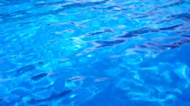 Agua superficial azul en la piscina — Vídeos de Stock