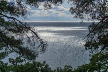 Yeşil yağmur ormanının tepesinden Karadeniz'in güzel manzarası. Bulutlarla dolu mavi gökyüzü. Güneş ışığı yansıması.