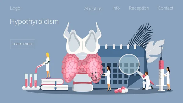 Hypothyroidism concept vector. Endocrinologists diagnose and treat human thyroid gland — Stock Vector