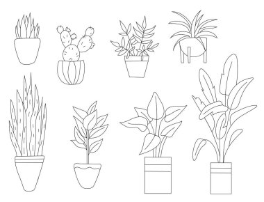 Saksıdaki tropikal ev bitkilerinin el çizimi karalama vektörü. Monstera, palmiye, yukka ve muz ağacını asgari doğrusal olarak içerir. Modern iç tasarım için mükemmel, boho dekorasyon, bahçe temaları