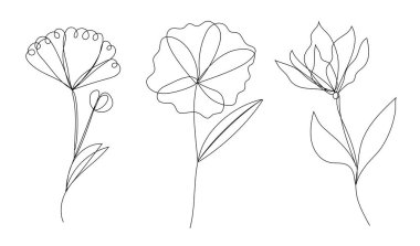 Bunlar arasında laleler, gelincikler, şakayıklar ve orkideler, güzellik salonu için zarif botanik illüstrasyonu, çiçekçi dükkanı, sosyal medya ve duvar sanatı da yer alıyor..