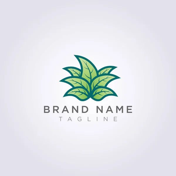 Creative Leaf Plant logo design för ditt företag eller varumärke — Stock vektor
