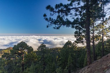 Kanarya Adaları Tenerife Dağları bulutlar üzerinde büyülü günbatımı