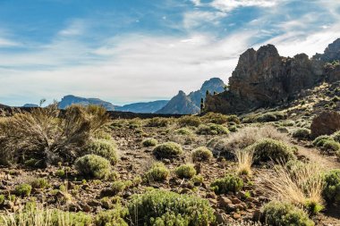 Beyaz kar lekeleri ile dağ Teide, kısmen bulutlar kaplı. Parlak mavi gökyüzü. Teide National Park, Tenerife, Kanarya Adaları, Ispanya.