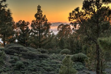 Kanarya Adaları Tenerife Dağları bulutlar üzerinde büyülü günbatımı