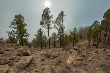 Beyaz kar lekeleri ile dağ Teide, kısmen bulutlar kaplı. Parlak mavi gökyüzü. Teide National Park, Tenerife, Kanarya Adaları, Ispanya.