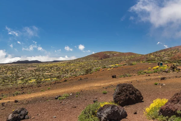 Berg Teide met witte sneeuw vlekken, deels bedekt door de wolken. Heldere blauwe hemel. Nationaal Park Teide, Tenerife, Canarische eilanden, Spanje. — Stockfoto