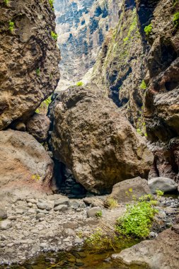 Masca Gorge Rocks, Tenerife, katılaştırılmış volkanik lav akışı katmanları ve kemer oluşumu gösteren. Ravine veya Barranco 900 m irtifada okyanus aşağı yol açar.