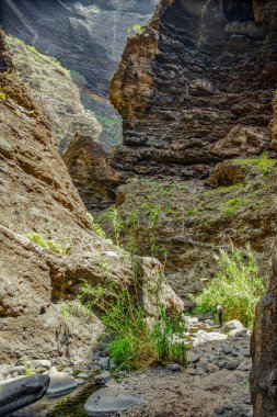 Masca Gorge Rocks, Tenerife, katılaştırılmış volkanik lav akışı katmanları ve kemer oluşumu gösteren. Ravine veya Barranco 900 m irtifada okyanus aşağı yol açar.