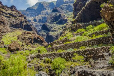 Masca Gorge Rocks, Tenerife, katılaştırılmış volkanik lav akışı katmanları ve kemer oluşumu gösteren. Ravine veya Barranco 900 m irtifada okyanus aşağı yol açar.