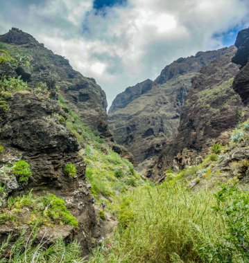 Masca Gorge Rocks, Tenerife, katılaştırılmış volkanik lav akışı katmanları ve kemer oluşumu gösteren. Ravine veya Barranco 900 m irtifada okyanus aşağı yol açar.