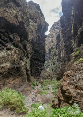Masca Gorge Rocks, Tenerife, katılaştırılmış volkanik lav akışı katmanları ve kemer oluşumu gösteren. Ravine veya Barranco 900 m irtifada okyanus aşağı yol açar.