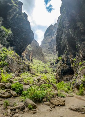 Masca Gorge Rocks, Tenerife, katılaştırılmış volkanik lav akışı katmanları ve kemer oluşumu gösteren. Ravine veya Barranco 900 m irtifada okyanus aşağı yol açar.