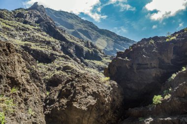 Masca Gorge Rocks, Tenerife, katılaştırılmış volkanik lav akışı katmanları ve kemer oluşumu gösteren. Ravine veya Barranco 900 m irtifada okyanus aşağı yol açar.