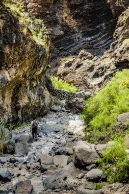 Masca Gorge Rocks, Tenerife, katılaştırılmış volkanik lav akışı katmanları ve kemer oluşumu gösteren. Ravine veya Barranco 900 m irtifada okyanus aşağı yol açar