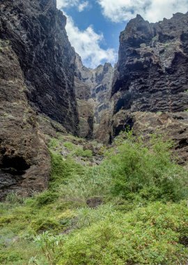 Masca Gorge Rocks, Tenerife, katılaştırılmış volkanik lav akışı katmanları ve kemer oluşumu gösteren. Ravine veya Barranco 900 m irtifada okyanus aşağı yol açar