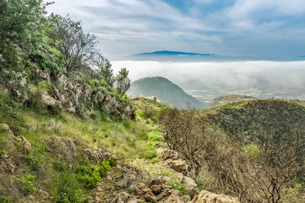 Stony path at upland surrounded by pine trees at sunny day. Clear lue sky and some clouds along the horizon line. Rocky tracking road in dry mountain area with needle leaf woods. Tenerife