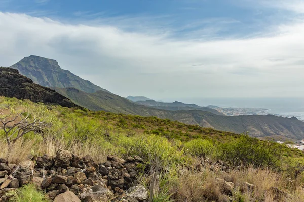 Stenig Stig vid Upland omgiven av endemiska växter. Solig dag. Klarblå himmel och några moln ovanför bergen. Rocky tracking Road i torrt bergsområde. Teneriffa — Stockfoto