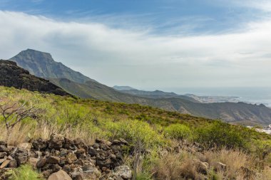 Endemik bitkilerle çevrili yayladaki taşlı yol. Güneşli bir gün. Berrak mavi gökyüzü ve dağların üzerinde bazı bulutlar. Kuru dağ bölgesinde kayalık izleme yolu. Tenerife