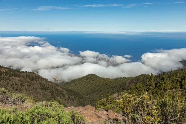 Panoramautsikt över Puerto de la Cruz och Orotava-dalen. Ovanför Wight fluffiga moln, klarblå himmel och liten del av La Palma Island i linje med horisonten. Spanien, Kanarieöarna, Teneriffa — Stockfoto