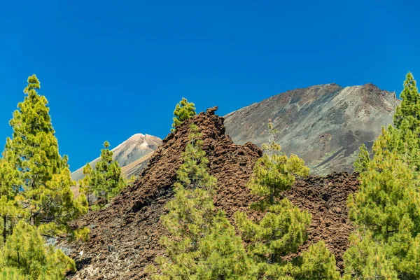 Góry i pola lawy wokół wulkanu Teide, częściowo pokryte lasem sosnowym. Jasne błękitne niebo. Park Narodowy Teide, Teneryfa, Wyspy Kanaryjskie, Hiszpania — Zdjęcie stockowe