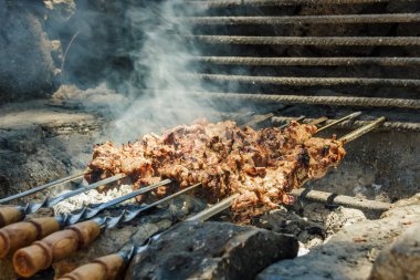 ızgarada barbekü. ormanda barbekü. et yanıyor. ızgarada et pişirme. Barbekü tavuğu. Şişte domuz eti. doğanın bulanık bir arka plan üzerinde lezzetli et barbekü ızgara açık havada