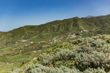 Baharda yeşil El Palmar Vadisi'nin güzel manzara. Yanardağ Teide tepesi uzak arka planda kar ile kaplı. Güneşli bir günde mavi gökyüzünü temizleyin. Tenerife, Kanarya Adaları, İspanya