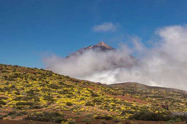 Nézd át a felhők, hogy a tetején a Teide vulkán ragyogó napsütéses nap. Tiszta kék ég és fehér bolyhos felhők. Kötélautó egyenesen a bal oldalon a hegy. Natoina Park Teide, Tenerife — Stock Fotó
